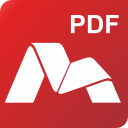 PDF 
